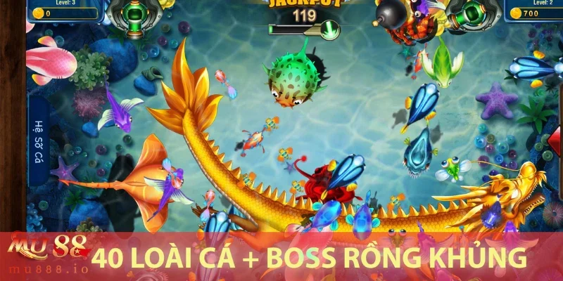 Bí kíp săn cá và tối ưu hóa cơ hội đổi thưởng