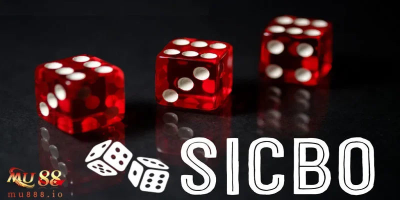 Các loại cược phổ biến nhất trong xúc xắc mà bạn cần biết