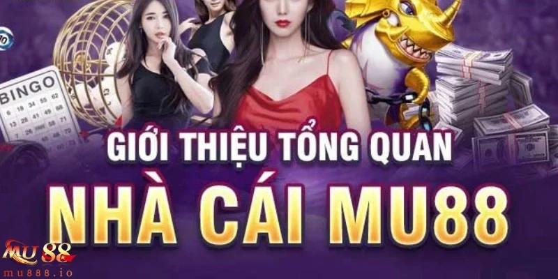Hợp tác quốc tế – Đặt nền móng cho đẳng cấp vượt trội