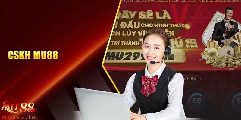 Live chat 24/7 tích hợp trực tiếp trên website