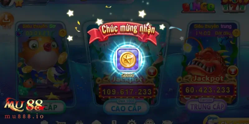 Tính năng hỗ trợ đặc biệt trong bán cá betta