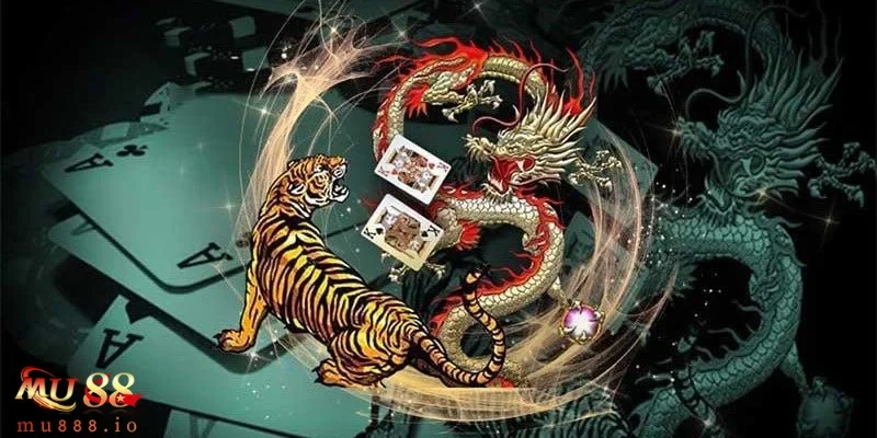 Tránh cược Hòa khi chưa có đủ vốn và kinh nghiệm